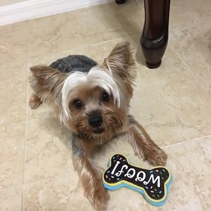 Meet your Posher, Darlene